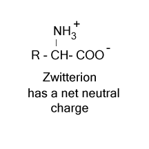 zwitterion fort hood nidal hasan