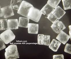 Salt crystals (sodium chloride)