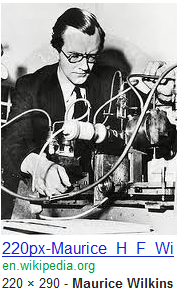maurice wilkins 1