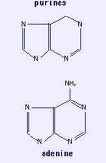 picture - Base ball 4