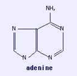 picture - base ball 2